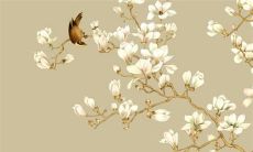 2022年8月11日穿什么颜色衣服好 五行穿衣最佳色