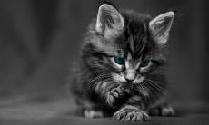 杜解伟姓名评分87分