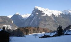 蔡金棠姓名评分89分