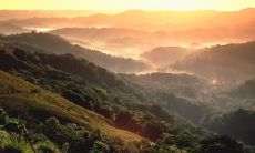 祝可伟姓名评分93分