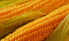 阮舟梁姓名评分83分