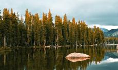 龚燕彪姓名评分82分