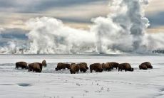 吉永忠姓名评分87分