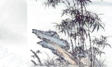 风水竹子的吉利方位 禁忌有哪些