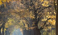 立秋到霜降之间的节气名称及特点