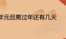 2022年元旦离过年还有几天 具体节日时间是几月几日