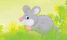 属鼠人2021年4月婚姻感情如何 发展好吗