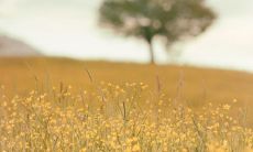 立春与生活的关系是什么 有哪些意义