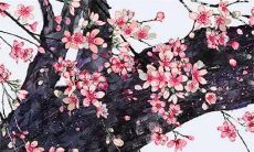 2023年正月二十七出生的宝宝命运怎么样 一生稳定生活安定