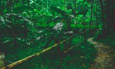 小暑代表的意思