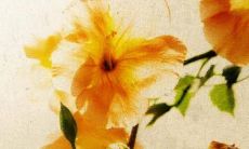 2023年正月二十八出生的宝宝命运好吗 发挥长处提升运势