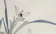 2023年正月二十八出生的女宝宝命运好吗 自由自在生活轻松