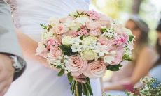 男鸡和女虎其实非常配 婚姻结果如何