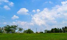 生肖属鼠的人在2023年年龄都多大了 五行喜忌是什么