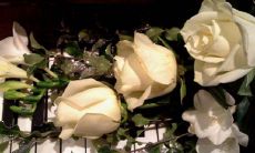 虎马狗三合厉害吗 是什么意思