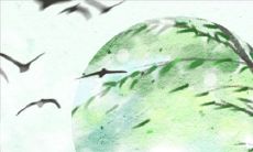 测一测3月你的桃花运如何？