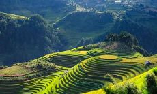 1996年正月出生属鼠人是什么命