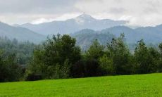 96年属鼠人2021年桃花事业运势详解 25岁属鼠运势如何