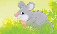 今年属鼠的运气如何2021 属鼠人2021年财运和运气分析