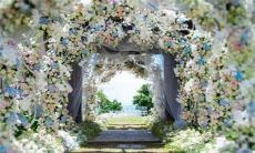 2022年10月26日嫁娶日子好吗 农历十月初二是不是婚嫁吉日