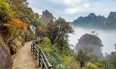 属鼠和哪个生肖相合财 属鼠人的桃花贵人是什么