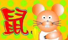 二月出生的属鼠人命运如何 二月几号出生最好