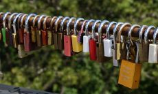 猪猴结婚挺幸福的是真的吗 可以在一起结婚吗