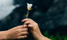 狗兔属相相配吗 婚姻合不合