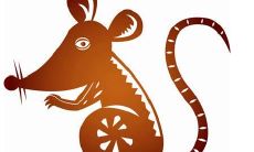 生肖鼠和哪两个生肖配对是完美的