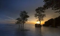 属鼠人阴历哪个月出生才是天生富贵命