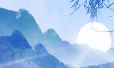 九四年生肖狗在2023能结婚吗 属狗配属兔好吗