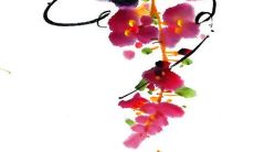 2023年1月13日适合提新车吗 今天日子如何