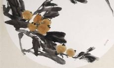 2023兔年提车黄道吉日一览表 兔年提车好日子