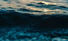 2023年狮子座的生肖鼠的运势会是什么