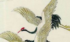 2023年1月3日提车好吗 买车提车合适吗