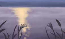 十二星座的吃货态度