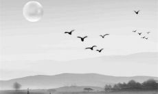 2023年1月2日适合提新车吗 今天日子如何