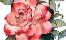 2022年12月31日可以提车吗 适不适合买新车