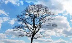 1996年9月出生属鼠人婚姻好不好 属鼠人最配哪个生肖