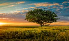 2023小年出生的男孩命运好吗 晚年运势旺盛