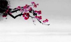 2023年下半年适合提车的吉利日子 提车黄道吉日查询