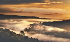 春节出生的兔宝宝2023年 会有贵人相助