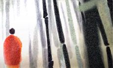 哪些星座今年不适合表白