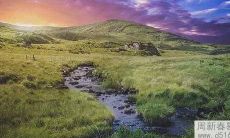 1984年男人的婚姻情况 有几次婚姻