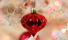 男兔女蛇千万别在一起为什么