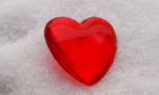 牛和兔在一起对谁不利 会有哪些后果