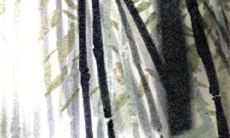 十二星座当医生让人崩溃的原因