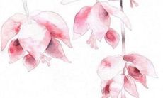 2023年3月入宅乔迁吉日查询 宜入宅吉日查询