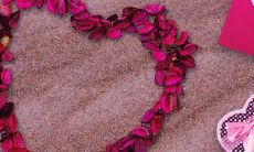 96男鼠和96女鼠命合不合 一生婚姻结局如何