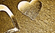 92男猴配94女狗合不合 婚姻能长久吗